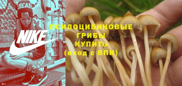 эйфоретик Волоколамск