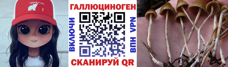 наркота  Ефремов  Галлюциногенные грибы GOLDEN TEACHER 